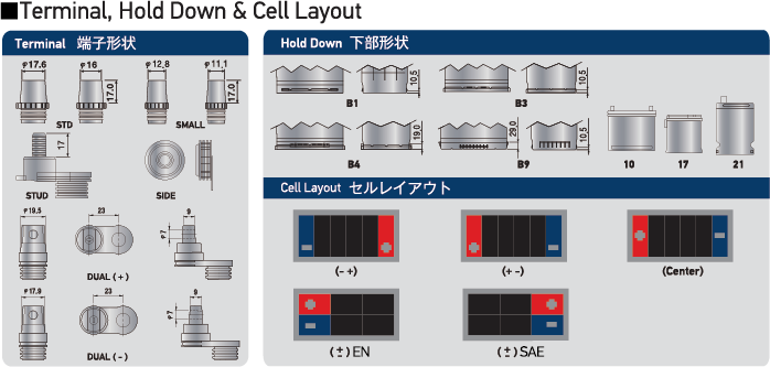 Terminal,Hold Down&Cell Layout